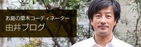 お庭の草木コーディネーター由井ブログ